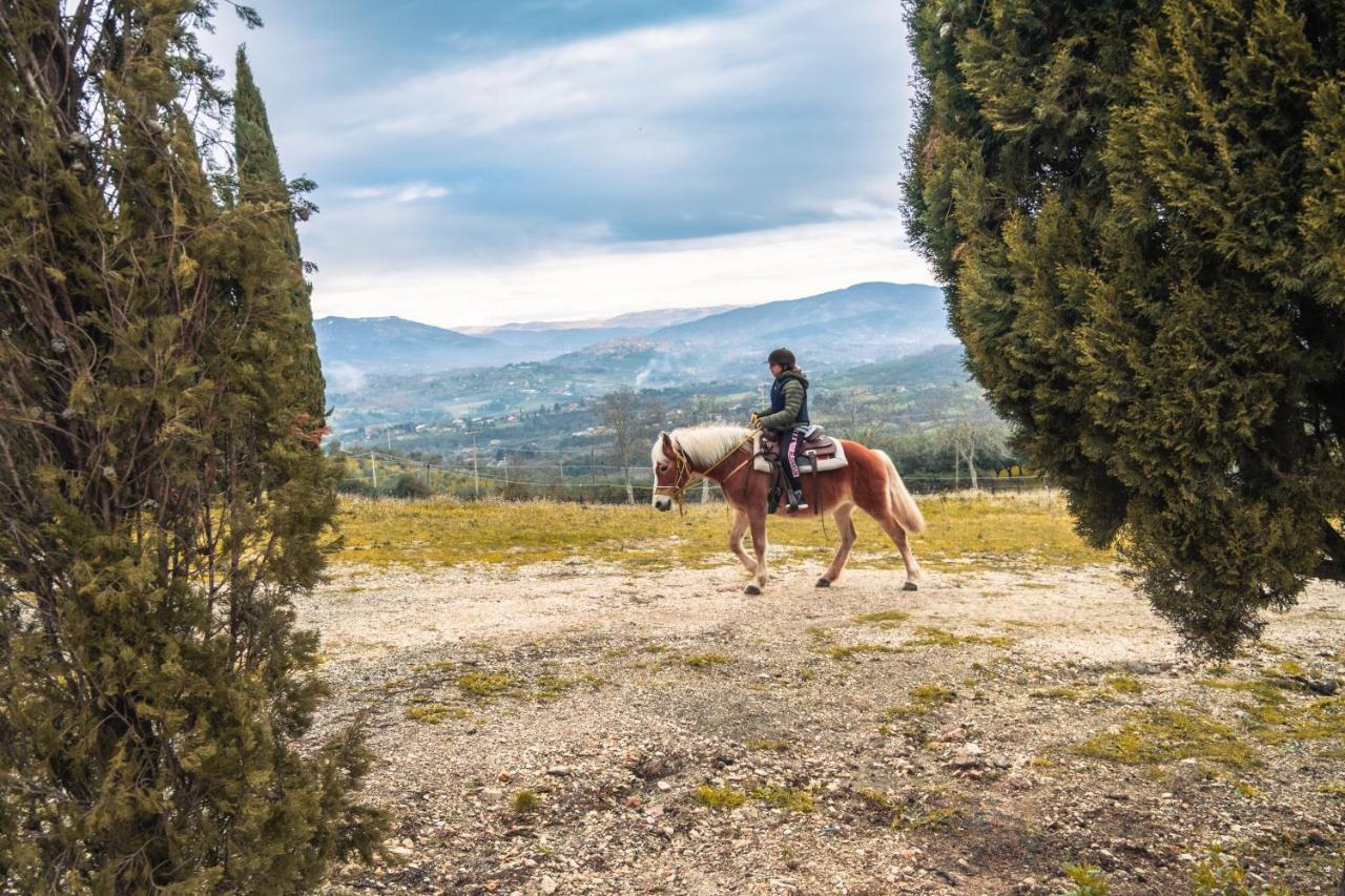 Farm stay La Cerra